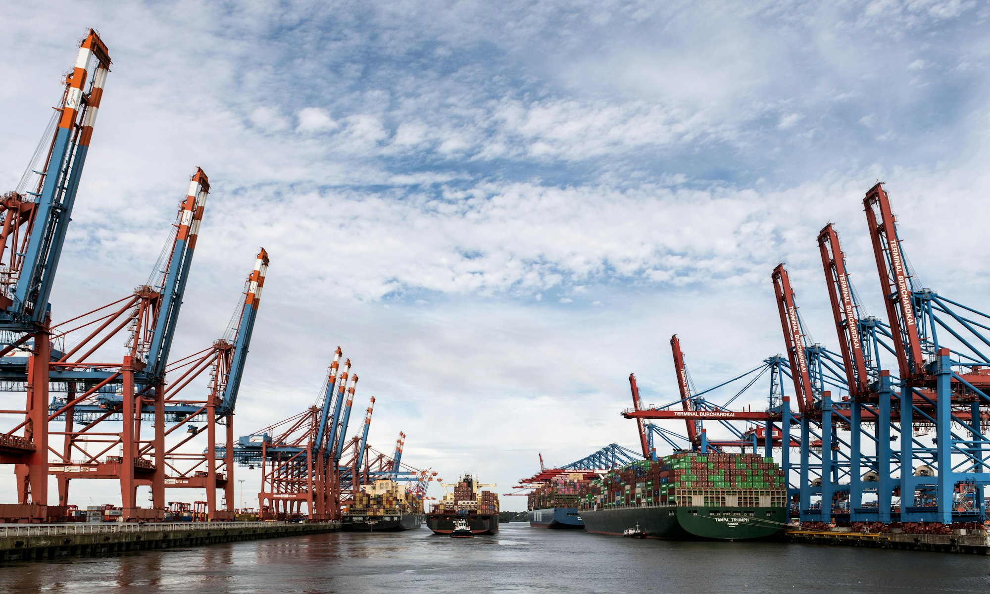 Cranes and a ship alongside at a port.
